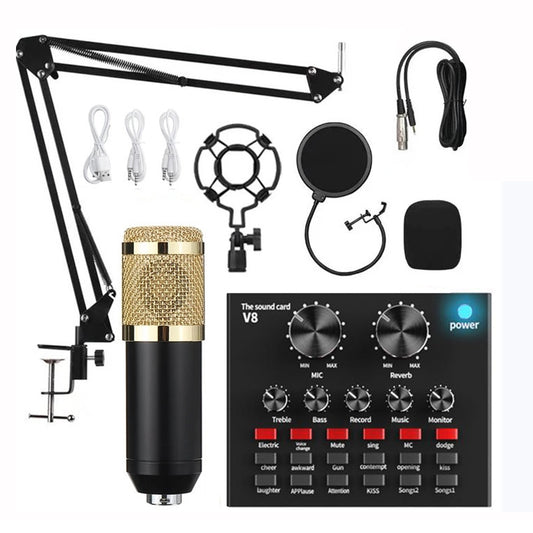 Set Professional Condenser Microphone