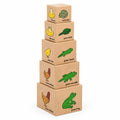 Life Cycle Animal Nesting and Stacking Boxes – Educational Cardboard Block Toy Set
