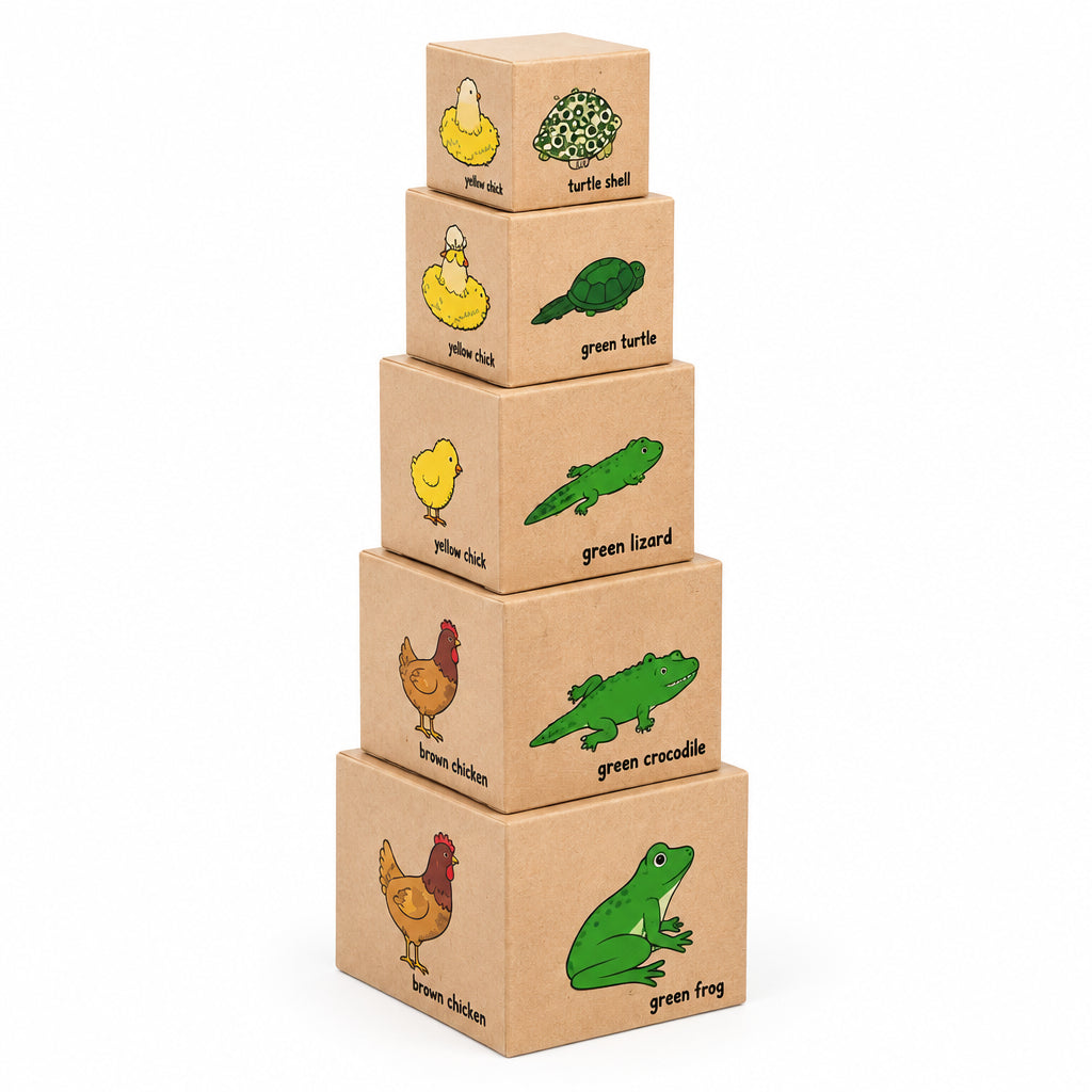 Life Cycle Animal Nesting and Stacking Boxes – Educational Cardboard Block Toy Set