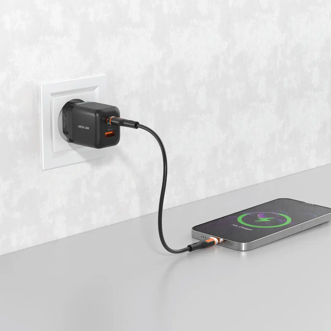 Green Lion Ultra Compact GaN Wall Charger EU Pin A+C 20W