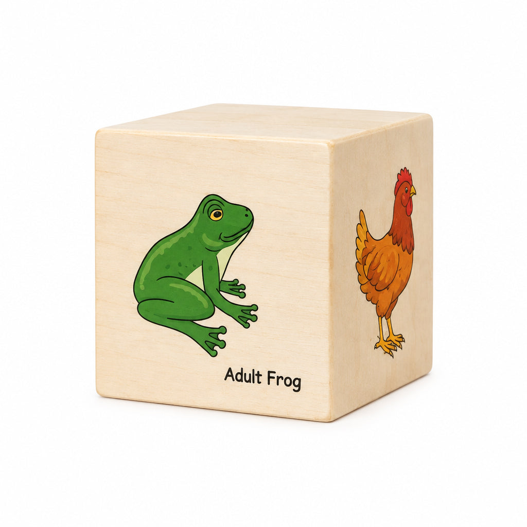 Life Cycle Animal Nesting and Stacking Boxes – Educational Cardboard Block Toy Set