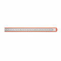 Stainless Steel 30 cm Ruler with Orange Border Case